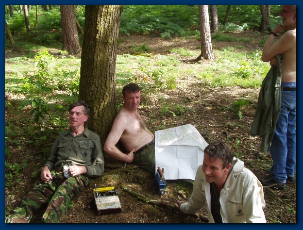 600x449 pixels (177K)